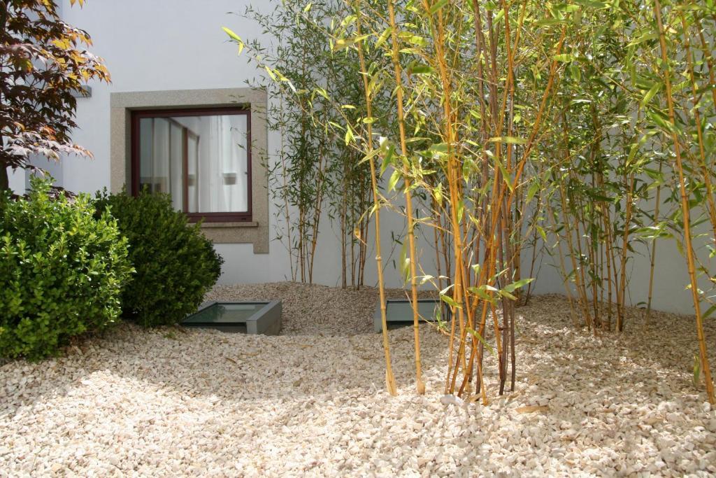Santo Thyrso Hotel Santo Tirso Eksteriør bilde